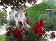Bed and breakfast Chantemerle-les-Grignan