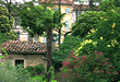 Maison d'hotes de charme Lorgues