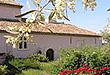 Le Vieux Figuier